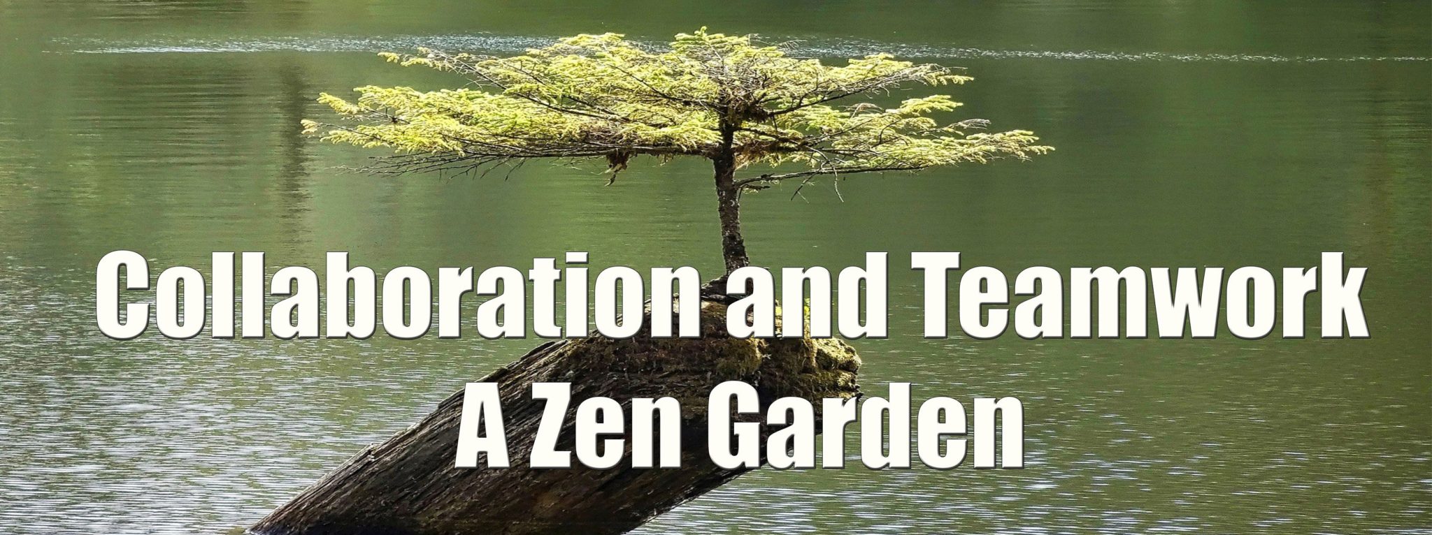 Collaboration and Teamwork – Mr. Harutos Zen Garden