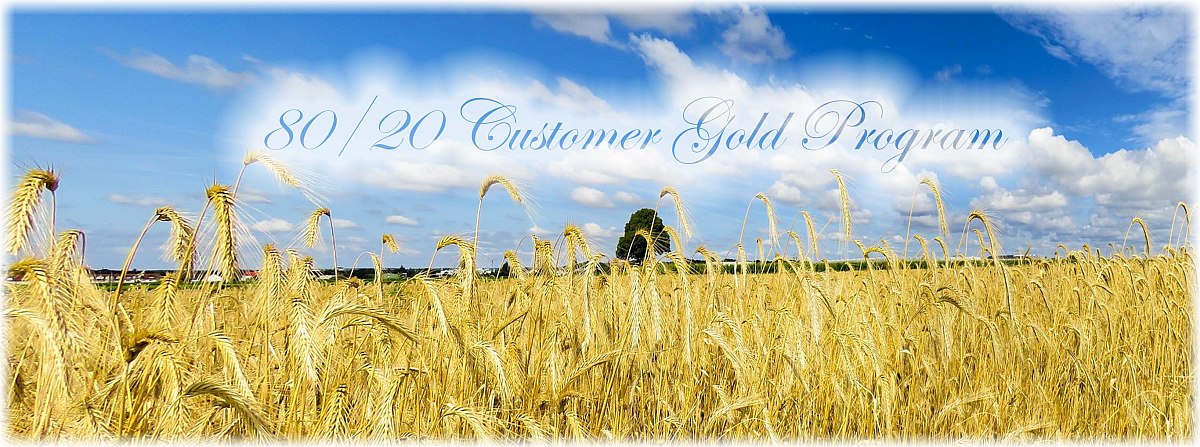 Growing your Business using the 80/20 Customer “Gold Program”®