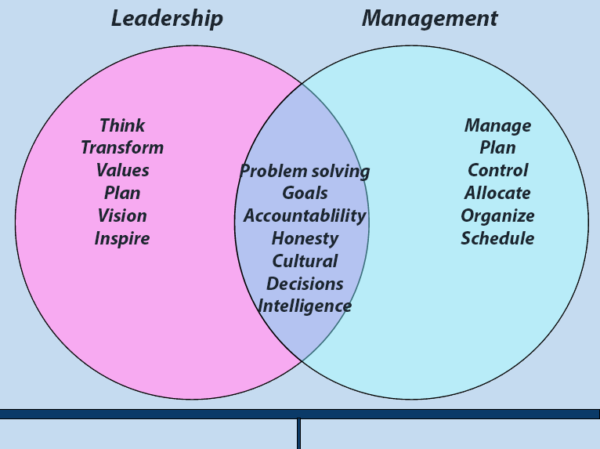 Leadership vs. Management: What type of CEO are you?