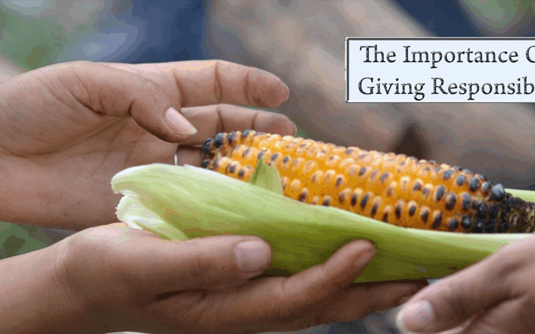 The Importance of Giving Responsibly